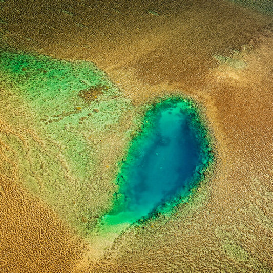 Swimming Hole Montgomery Reef