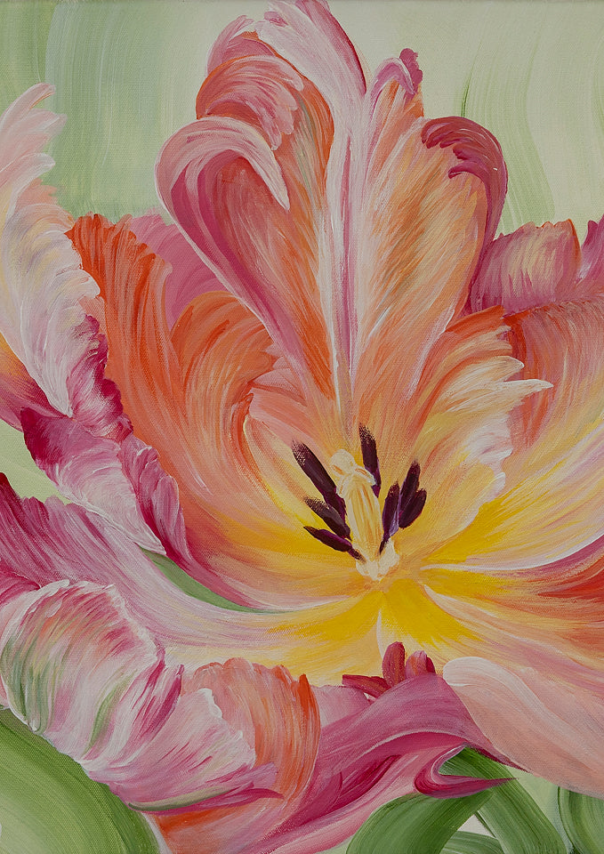 Spring Tulip Fine Art Prints A3 / A4